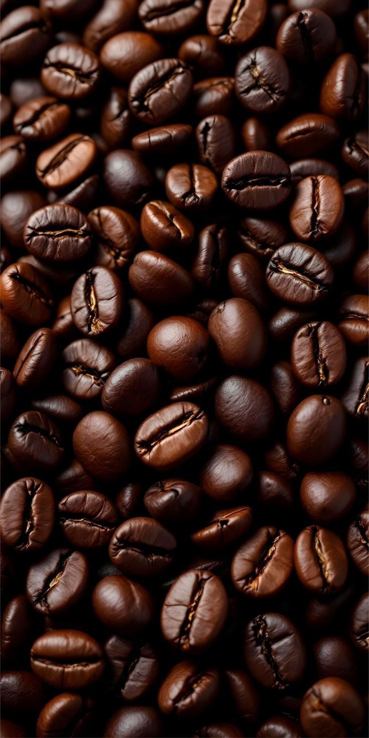 Jenis jenis kopi